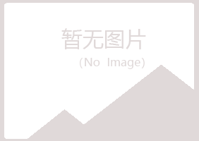 五大连池欢心会计有限公司